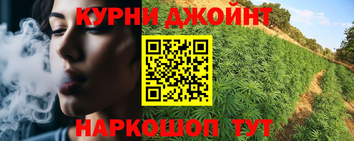 Каннабис ГИДРОПОН Новокубанск